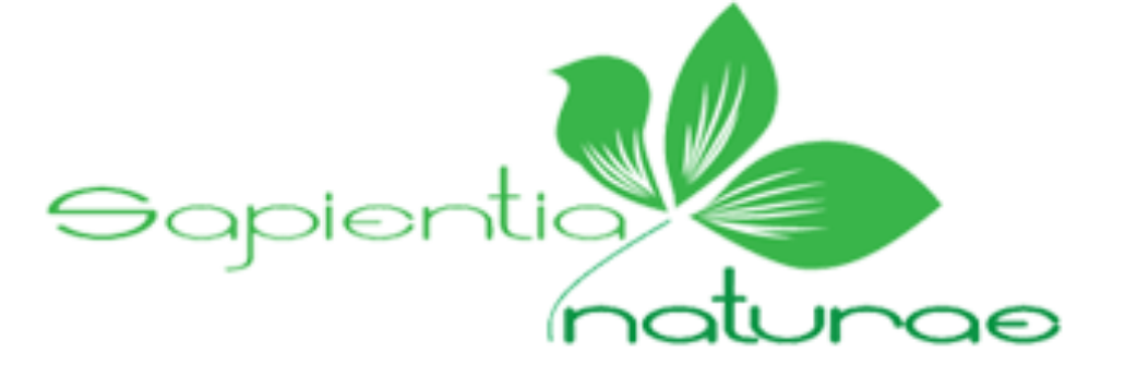 Sapientia_Logo