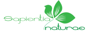 Sapientia_Logo